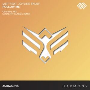 Follow Me (Synastry Remix)